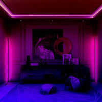 Luminaire Neon mur